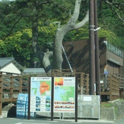 大田子海岸