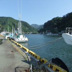 「那賀川」河口