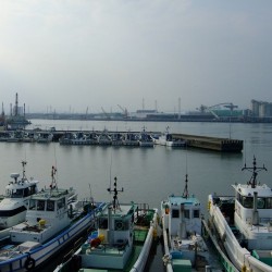 田子の浦港