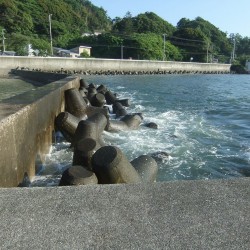 大田子海岸