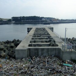 田子の浦港