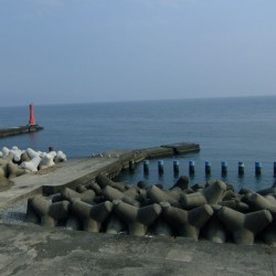 田子の浦港