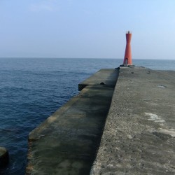 田子の浦港