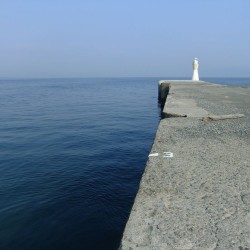 田子の浦港