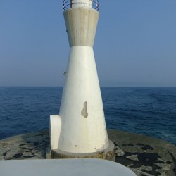 田子の浦港