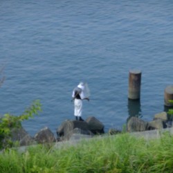 田子の浦港