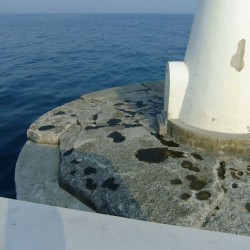 田子の浦港