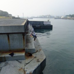 田子の浦港