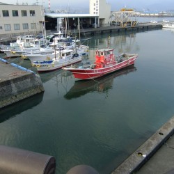 田子の浦港