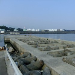 田子の浦港