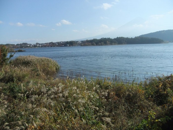 山梨県
