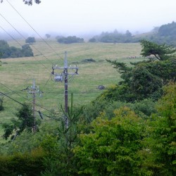 まきば公園