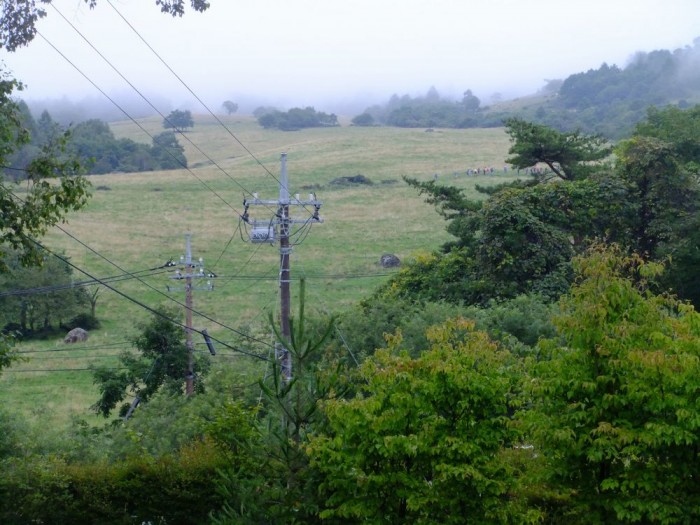 まきば公園