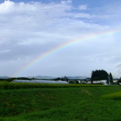 大泉町