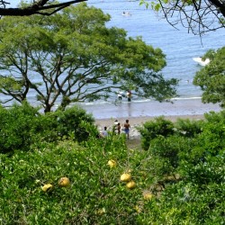 若松海水浴場