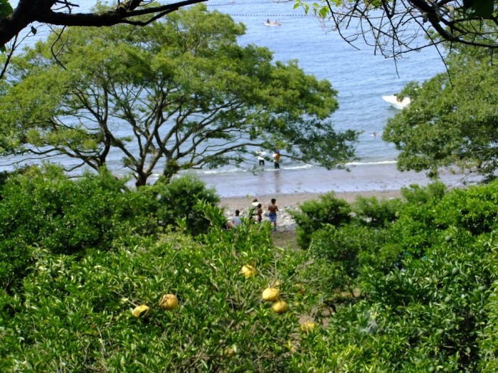 若松海水浴場