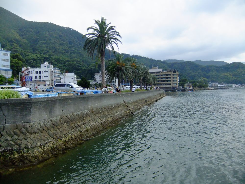 観光客も手軽に釣りが楽しめる三津 内浦港 南側 有料駐車場の岸壁