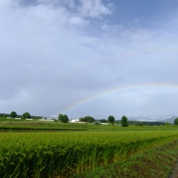 大泉町