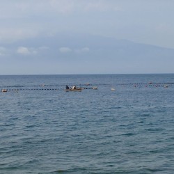 若松海水浴場