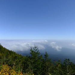 富士山