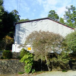 村山浅間神社