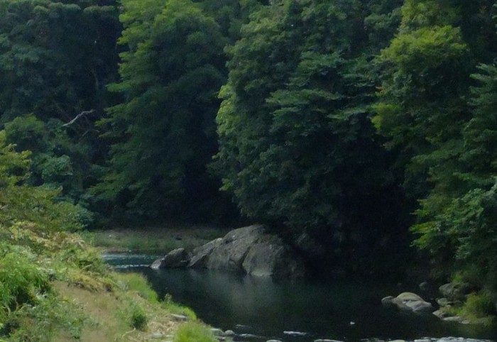 狩野川