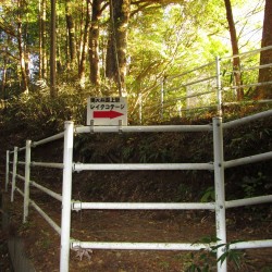 奥大井湖上駅