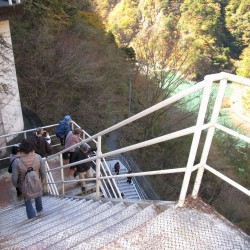 夢の吊橋