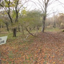 須山口登山歩道