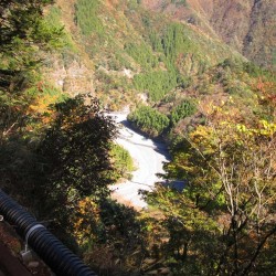 夢の吊橋