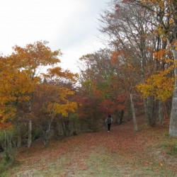 須山口登山歩道