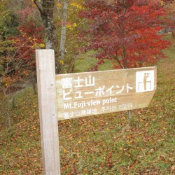 須山口登山歩道