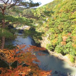 長島ダム・接岨湖