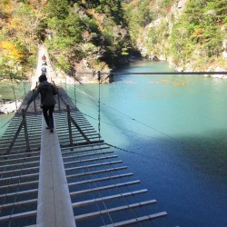 夢の吊橋