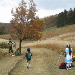 十里木高原