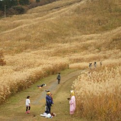 十里木高原