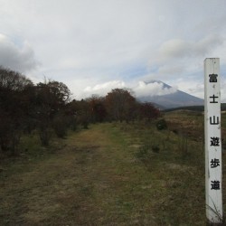 須山口登山歩道