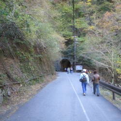 夢の吊橋