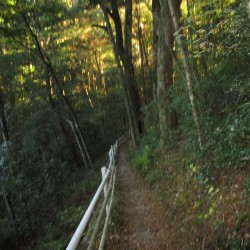 奥大井湖上駅