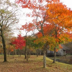 須山口登山歩道