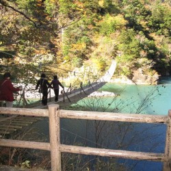 夢の吊橋