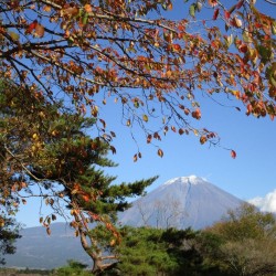 田貫湖