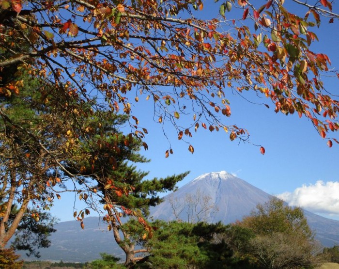 田貫湖