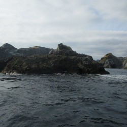 石廊崎小赤島