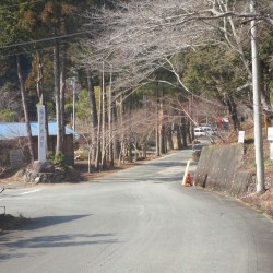 石松の墓