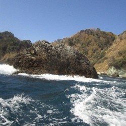 小下田・高島