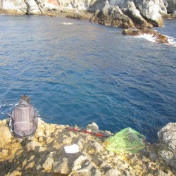 石廊崎小赤島