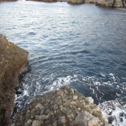 石廊崎小赤島