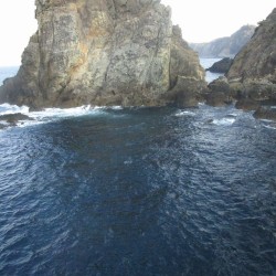 小下田・高島