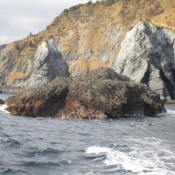 石廊崎小赤島